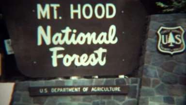 1971: Mt Hood National Forest car drive summer mountain side view.