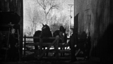 1933: Old Man Feeding Horses in Outdoor Stables