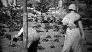 1934: Women harvesting garden during depression era food shortage.