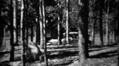 1934: Ford model A car driving past log cabin thru pine tree forest.