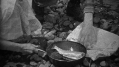 1935: Man cutting heads off sih putting into cast iron frying pan.