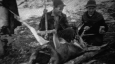 1939: Hunting couple pose with field dressed gutted whitetail deer.