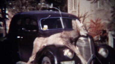 1939: Men inspect hunted dead whitetail deer strapped to classic car hood.