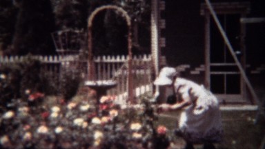 1939: Woman gardening rose flowers front yard with white bonnet.