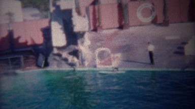 1955: Trained Dolphin Towing Dog on Surfboard Around Show Pool.
