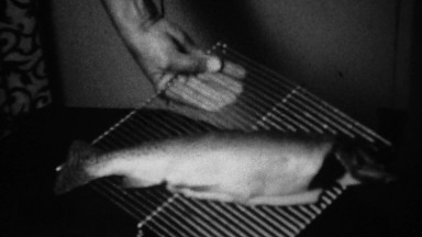 1939: Whole Salmon Fish Fillet on Oven Cooking Grilling Rack.