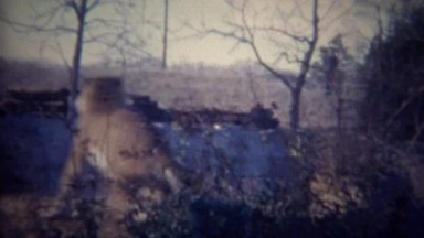1956: Bengal Tiger Animals Fighting Wrestling in Nature Zoo Habitat.