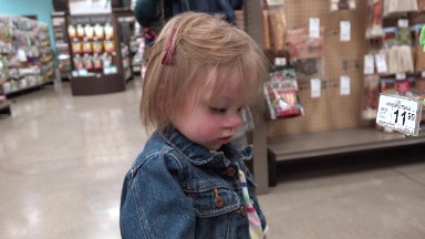 Toddler inspecting prices at pet store in cute jean jacket clothes.