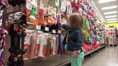 Toddler price shopping dog play toys at big box pet store.