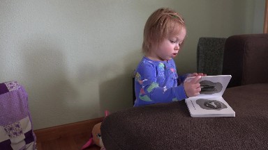 Cute caucasian toddler reading baby book in blue pajamas. DENVER, COLORADO