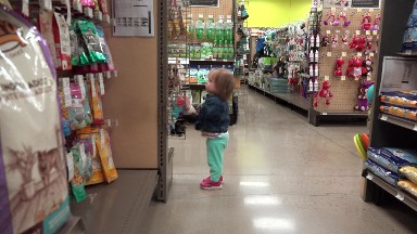 Toddler walking wandering around at pet store aisle looking at goods. DENVER,