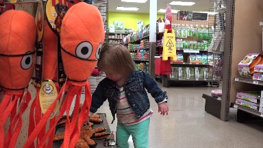 Toddler shopping at pet store at orange stuffed animal dog toy section. DENVER,
