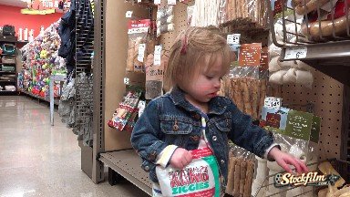 Toddler in Jean Jacket Shopping Dog Rawhide Treats at Pet Store. Denver,