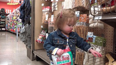 Toddler in jean jacket shopping dog rawhide treats at pet store. DENVER,