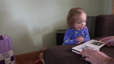 Dad reading book with toddler girl in mourning blue pajamas. DENVER, COLORADO