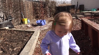 Baby walking outside backyard garden landscaped area smiles. DENVER, COLORADO