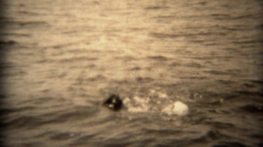 1936: Woman in Swim Cap and Cocker Spaniel Swimming Together in Open Lake Water, Tryon, NC