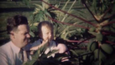 1947: Father son marveling at young papaya tree in backyard.
