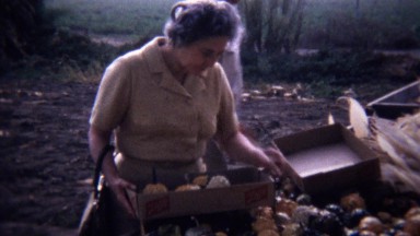 1967: Women picking gourd vegetables from roadside farmstand.