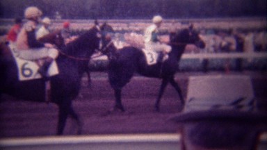 1949: Spectators Watch Racetrack Horse Jockeys Walk to Starting Line