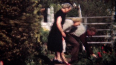 1949: Gentleman flirt picking garden rose for older women.