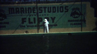 1949: Flippy the educated porpoise performs tricks at Marineland park.