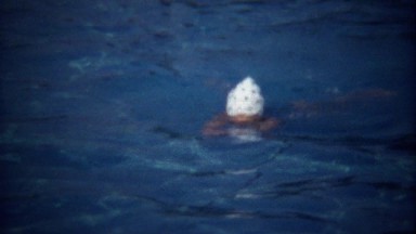 1974: Women Butterfly Stroke Swimming Flower Patterned Cap.