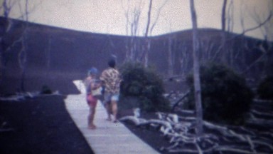 1961: Tourists visit nuclear bomb wasteland barren dead tree landscape.