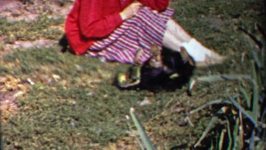 1958: Black dog plays with owner, runs jumps over small white fence.