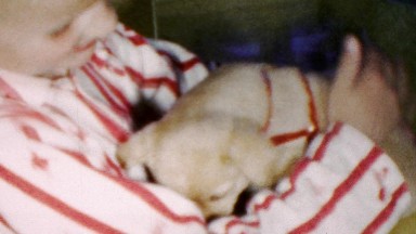 1964: Blonde middle school boy playing new adorable shy puppy dog.