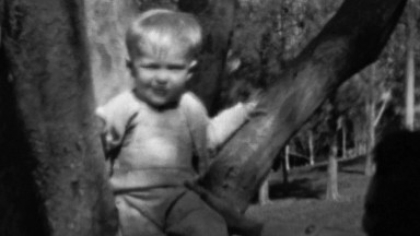 1961: Baby Climbs Tree Gets Stuck Waves Cutely to Crowd