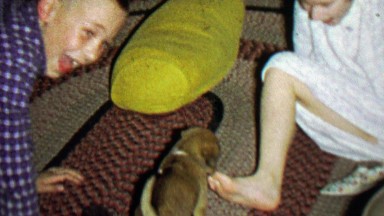 1967: Kid plays cute new puppy kisses toes is freaking adorable.