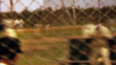 1961: Washington Senators baseball team batting practice behind fence.