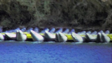 1964: Inflatable river rafting kayaks beached on water banks.