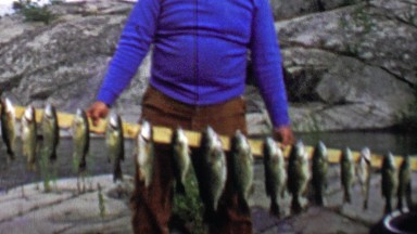 1961: Fishing Catch Nailed to Wooden Board for Barbaric Display.
