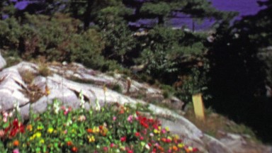 1961: Hill Overlooking Blue Waters Ocean Bay Mountains in Distance.