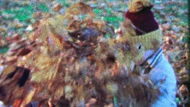 1967: Kid brothers playing in autumn leaf pile toss baby unsure.