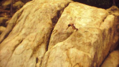 1974: Native cliff diver jumps high rock into deep ocean waters.
