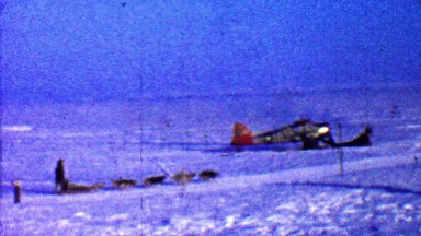 1957: Winter sled dogs riding past broken airplane into wilderness.