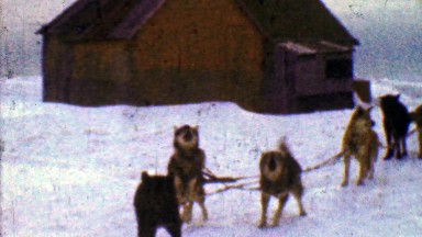 1957: Eager sled dogs ready winter snowscape cloudy journey ahead.