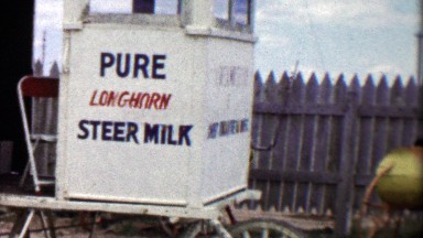 1959: Pure longhorn steer milk ranchers humor joke.