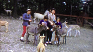 1961: Family petting young donkey mules at Pocono Wild Animal Farm.