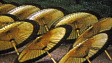 1951: Colorful yellow Japanese style umbrellas stacked background.
