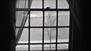 1937: Harvard University view from dorm room window campus resident buildings.