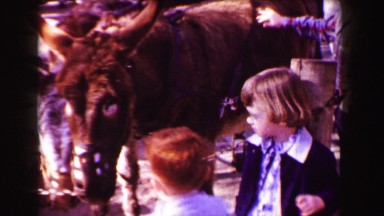 1967: Kids petting zoo hairy mule donkey horse like beast. SAN FRANCISCO,