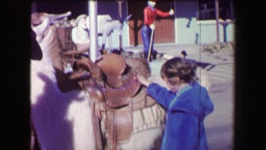1968: Old miner giving girl llama ride around western USA tourist attraction.