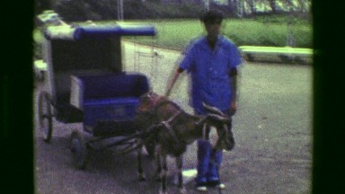 1977: Goat Powered Luxury Urban Transportation in a Blue Coach Chariot. Rio DE