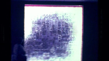 1977: Avant Garde art installation native historic natural history artifact