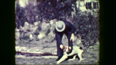 1938: Impatient Man Training Confused Shorthaired Pointer Hunting Dog to Stay.