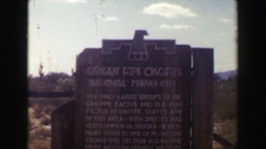 1951: Organ Pipe Cactus National Monument Park lush green desert mountains.